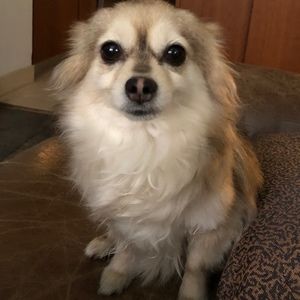 Meet your Posher, Phyllis